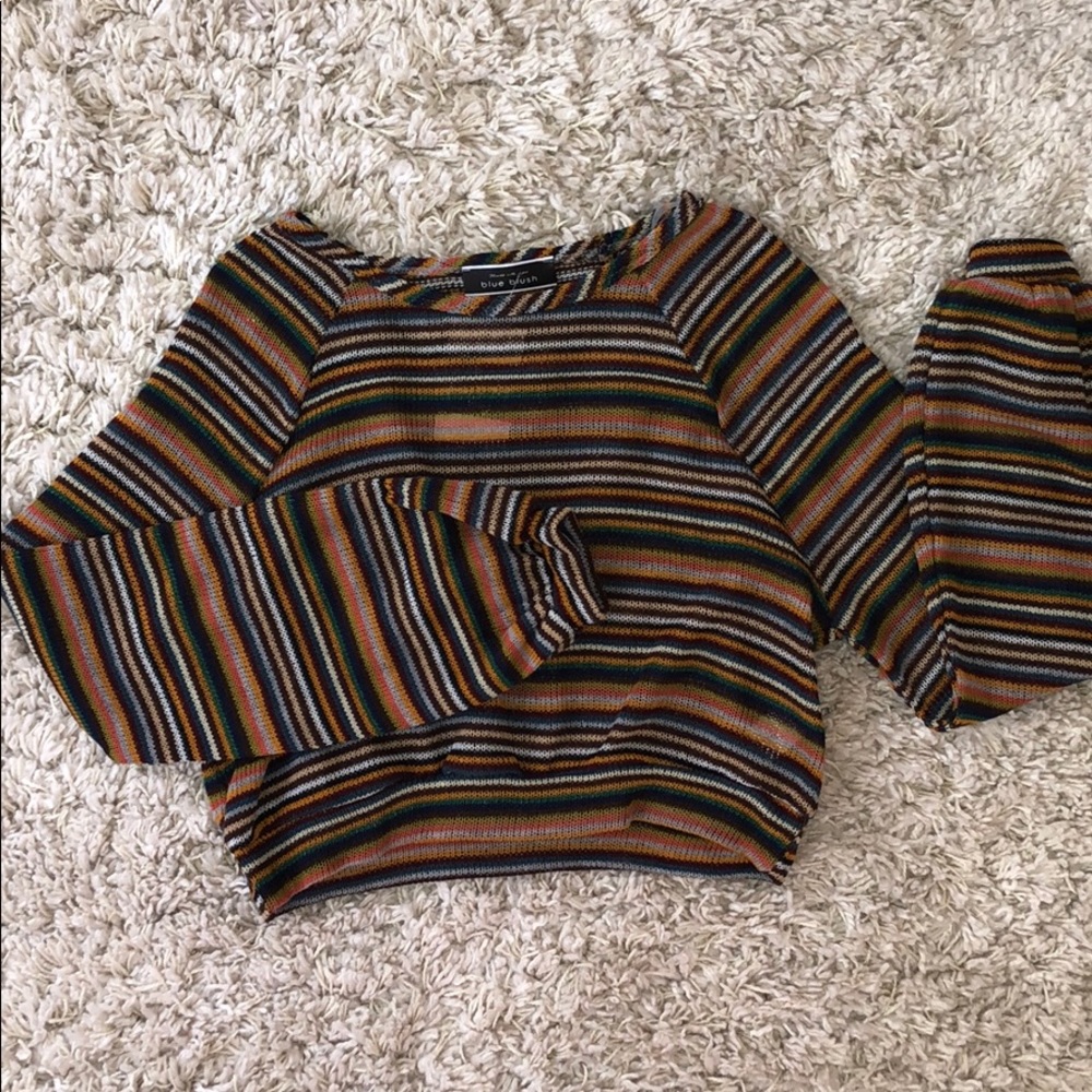 Blue Blush Long Sleeve Striped Crop Top